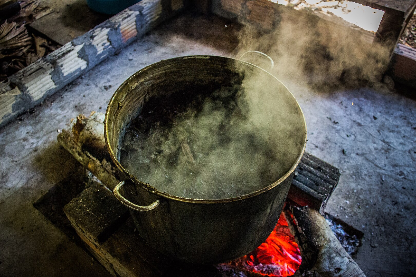 1620px-ayahuasca_brewing_02