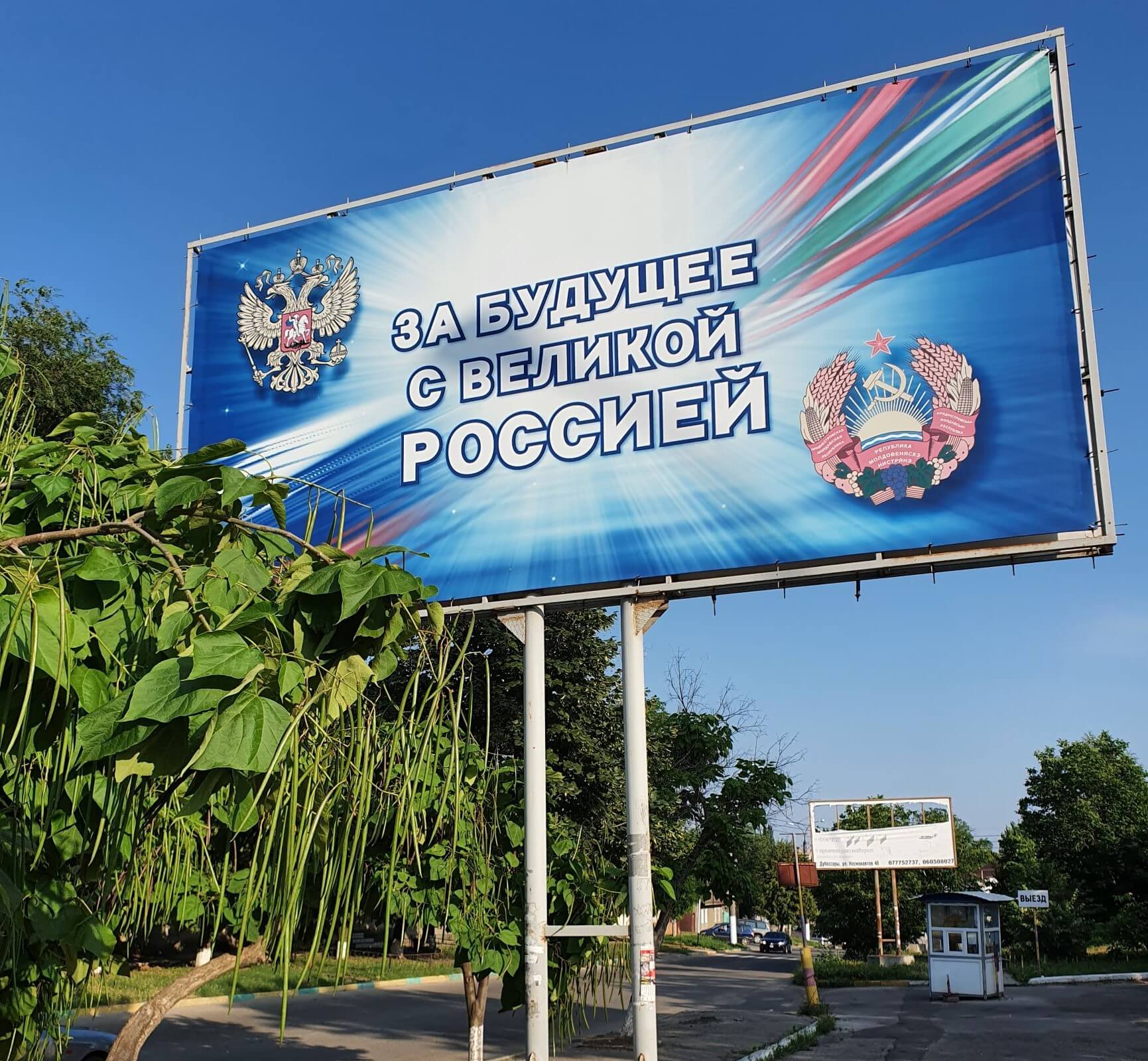 20210713_183058_mensi_orez