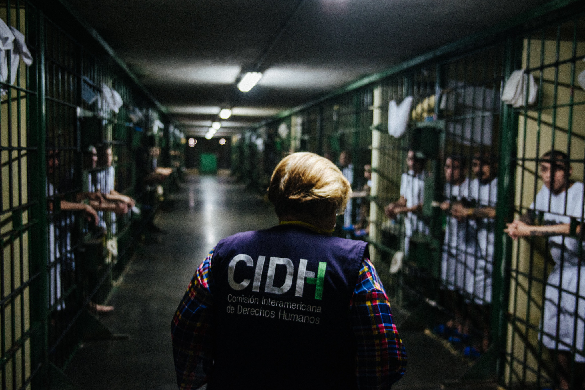 49217591231_697988f253_k