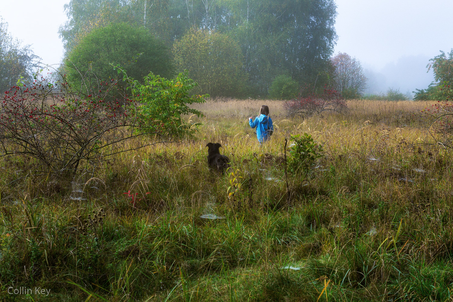 50562117598_a81190aad0_h