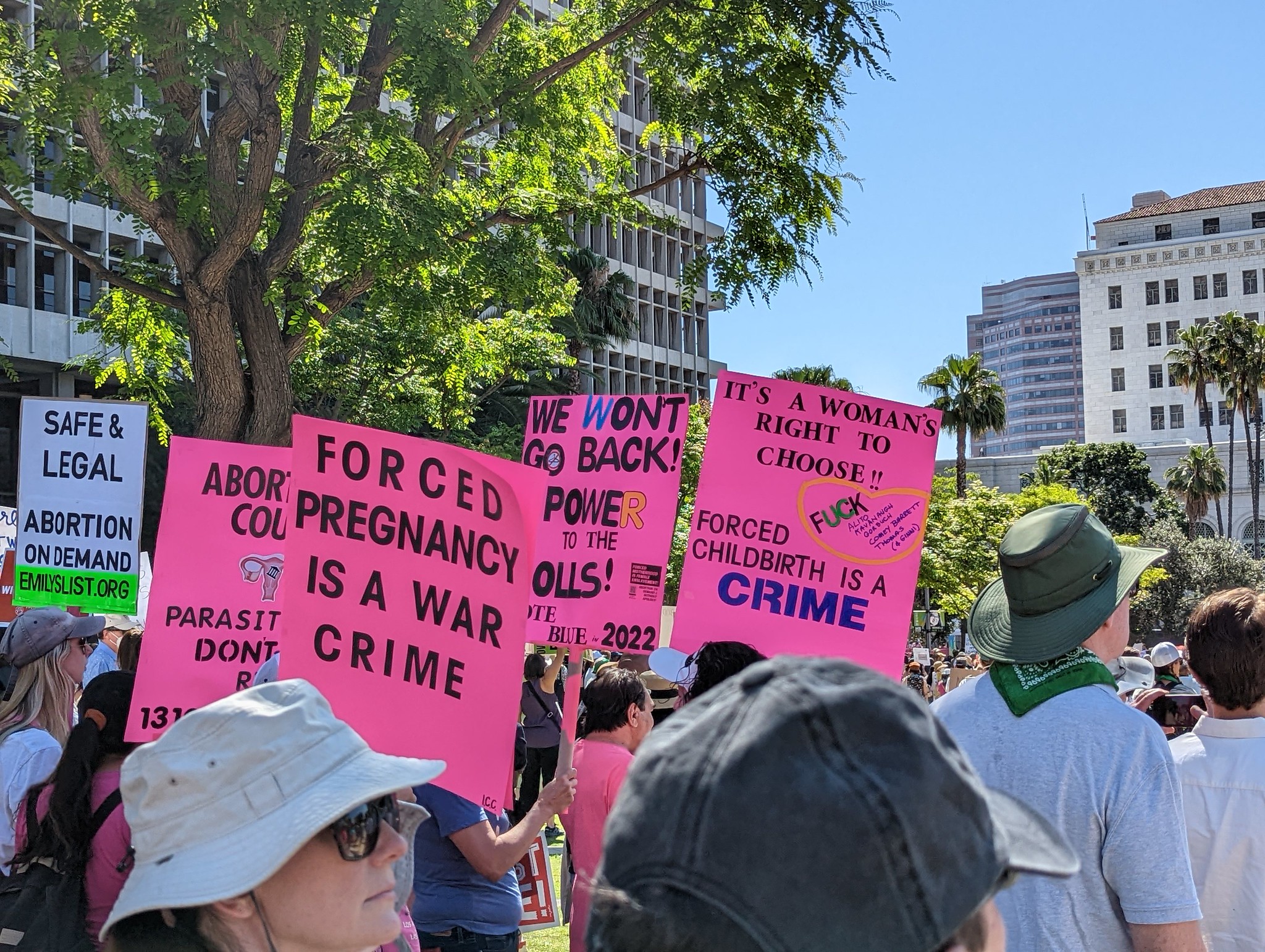 52073432241_c4c04c7fa6_k