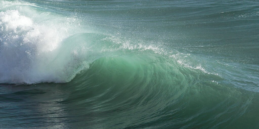 6315759950_91e1f59f0a_b-e1680780597124