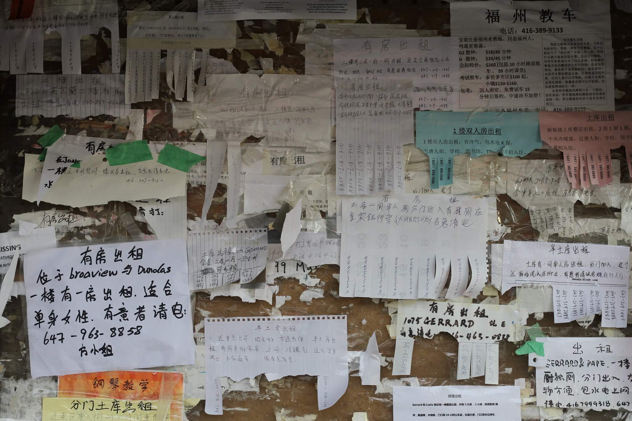 7460473648_5ef18427db_k