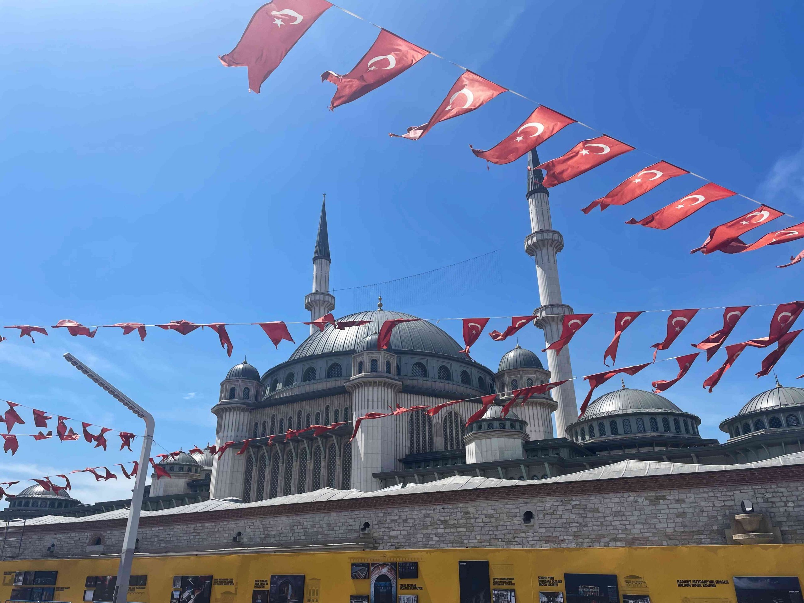 8345a8bc-4b53-4835-8b78-008b57cd4efb-scaled