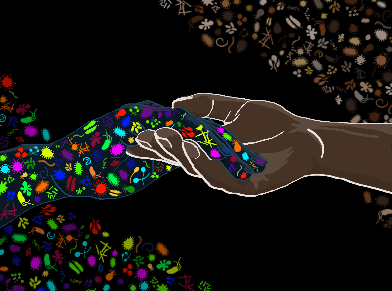 holobiont_representation