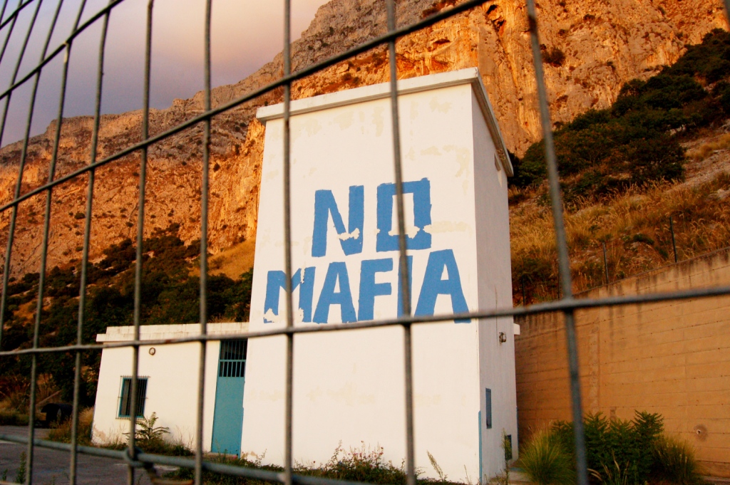 no_mafia_242388997