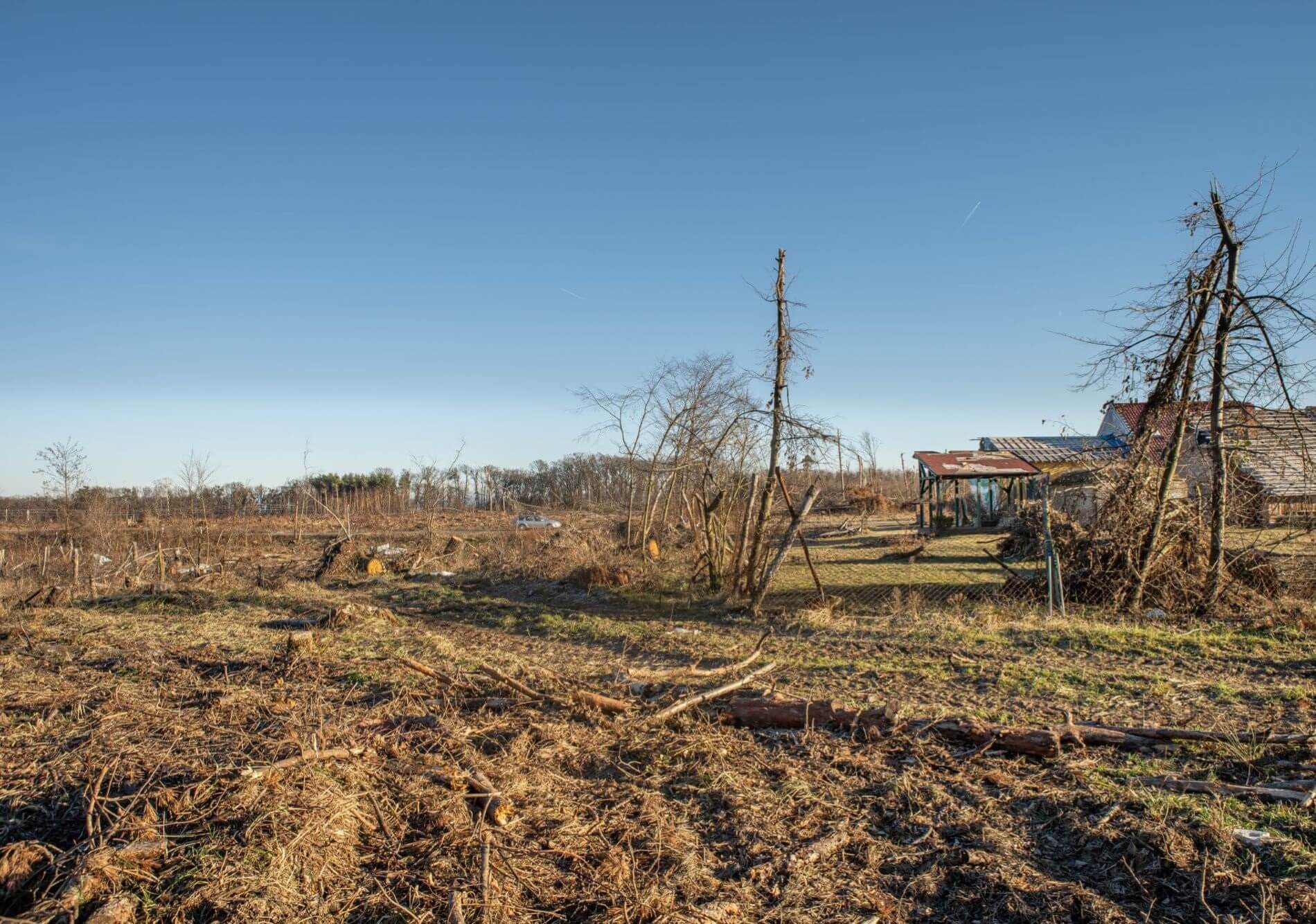 panov-lesy-nedaleko-obce-3_mensi