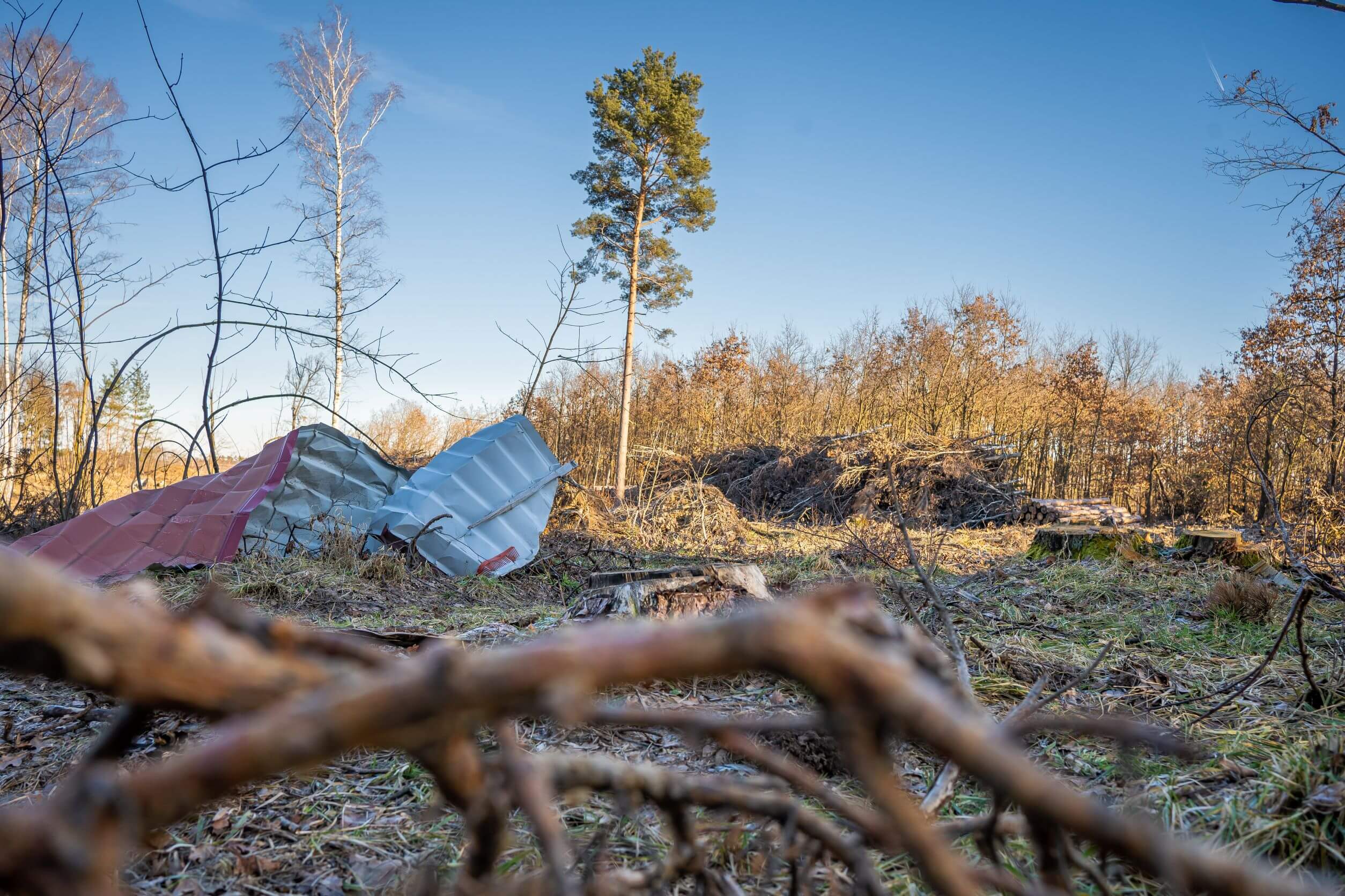 panov-lesy-nedaleko-obce_mensi
