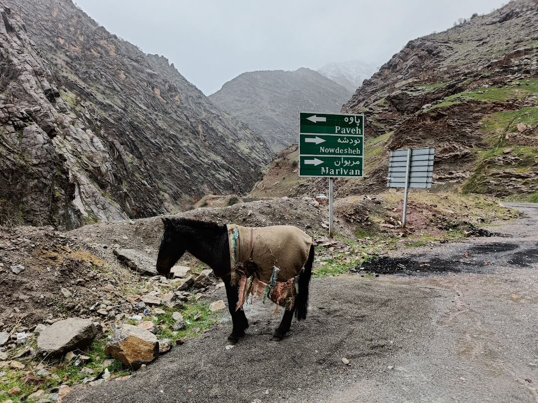 pasovani-zbozi-mezi-irakem-a-iranem-at-uz-na-vlastnich-zadech-nebo-pomoci-oslu-je-sice-nebezpecny-ale-pro-mnoho-mistnych-kurdu-nezbytny-zpusob-obzivy