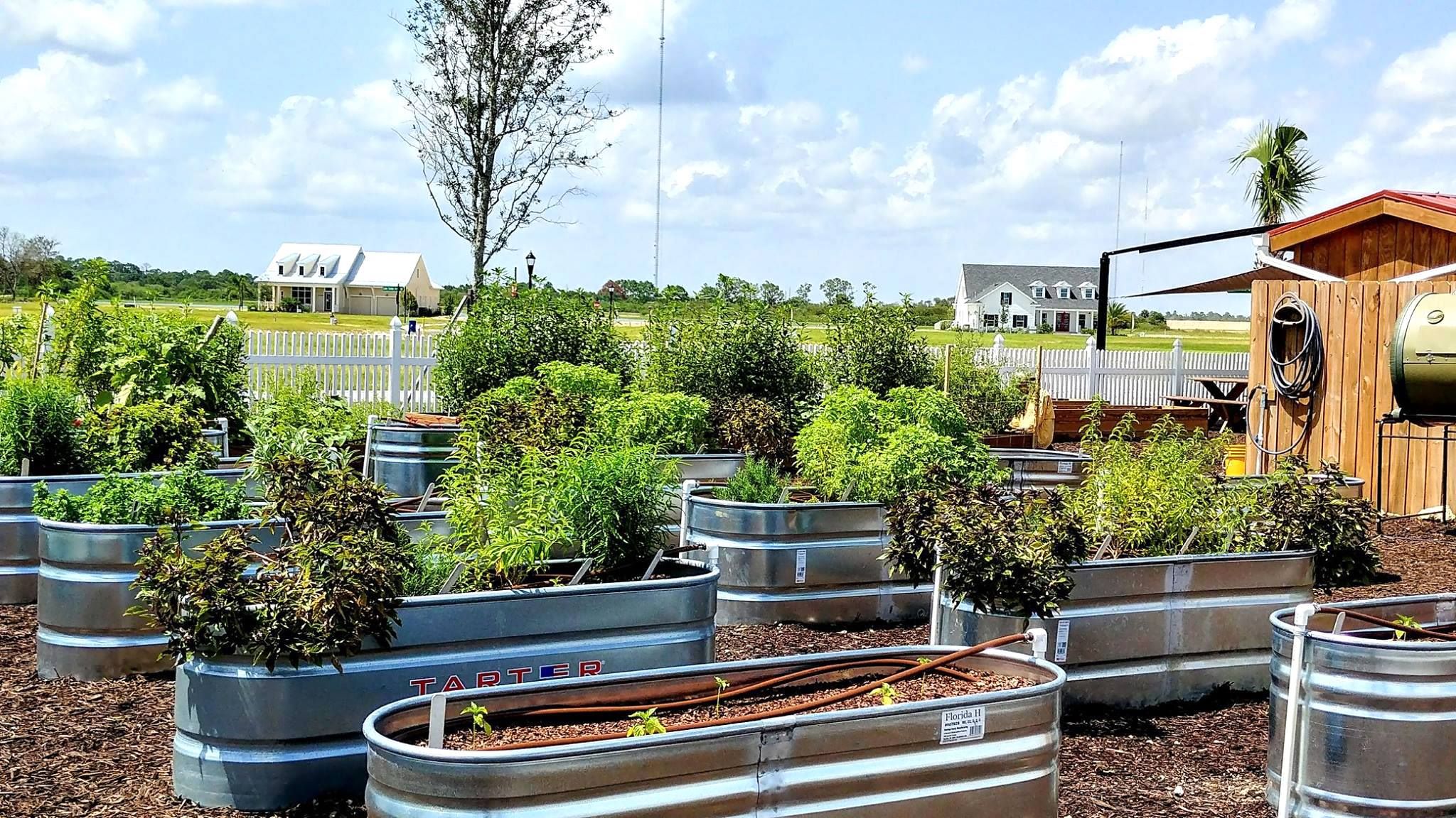 pohled_komunitni-zahrada_mensi