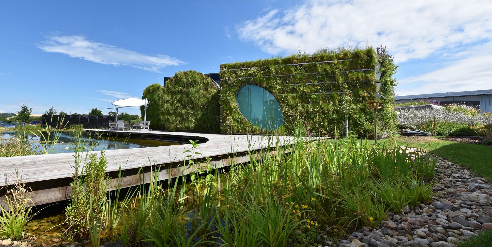 priklad-zelene-fasady_mensi