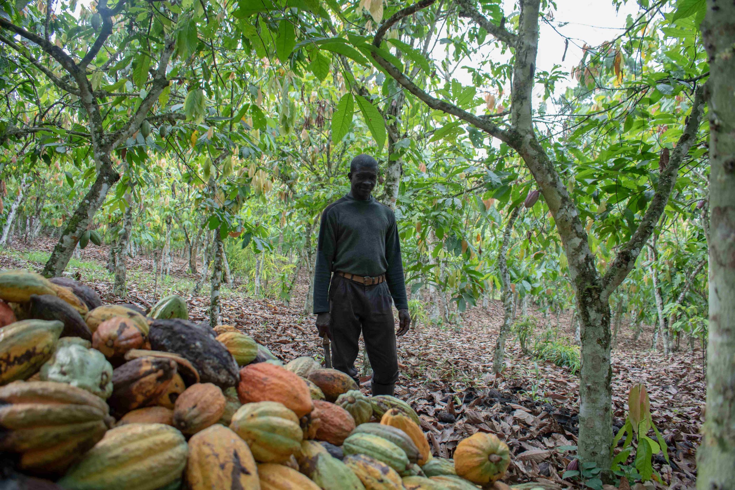 shutterstock_2133083863-extramin-scaled