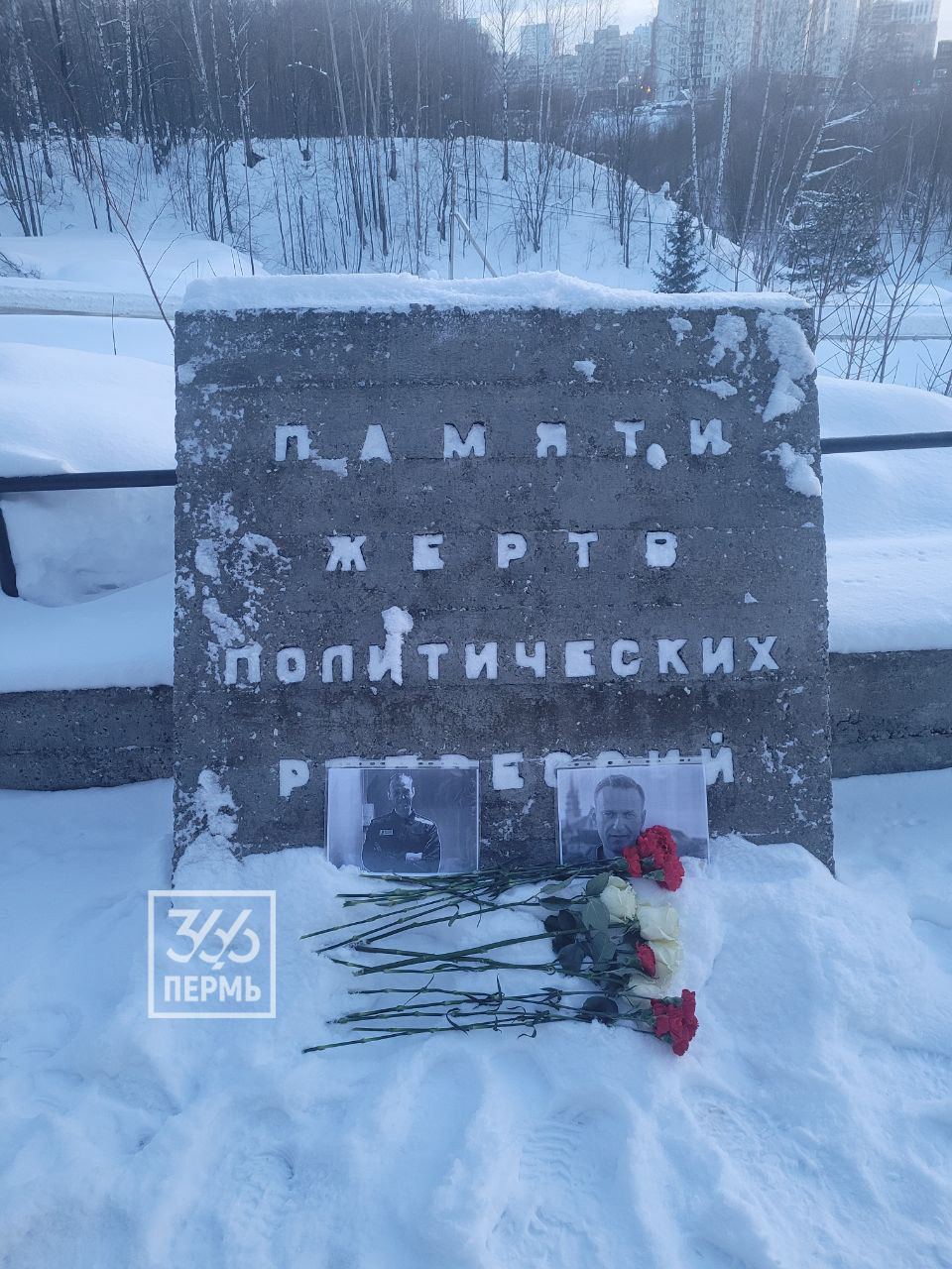 photo_2024-02-16-15.22.54-1