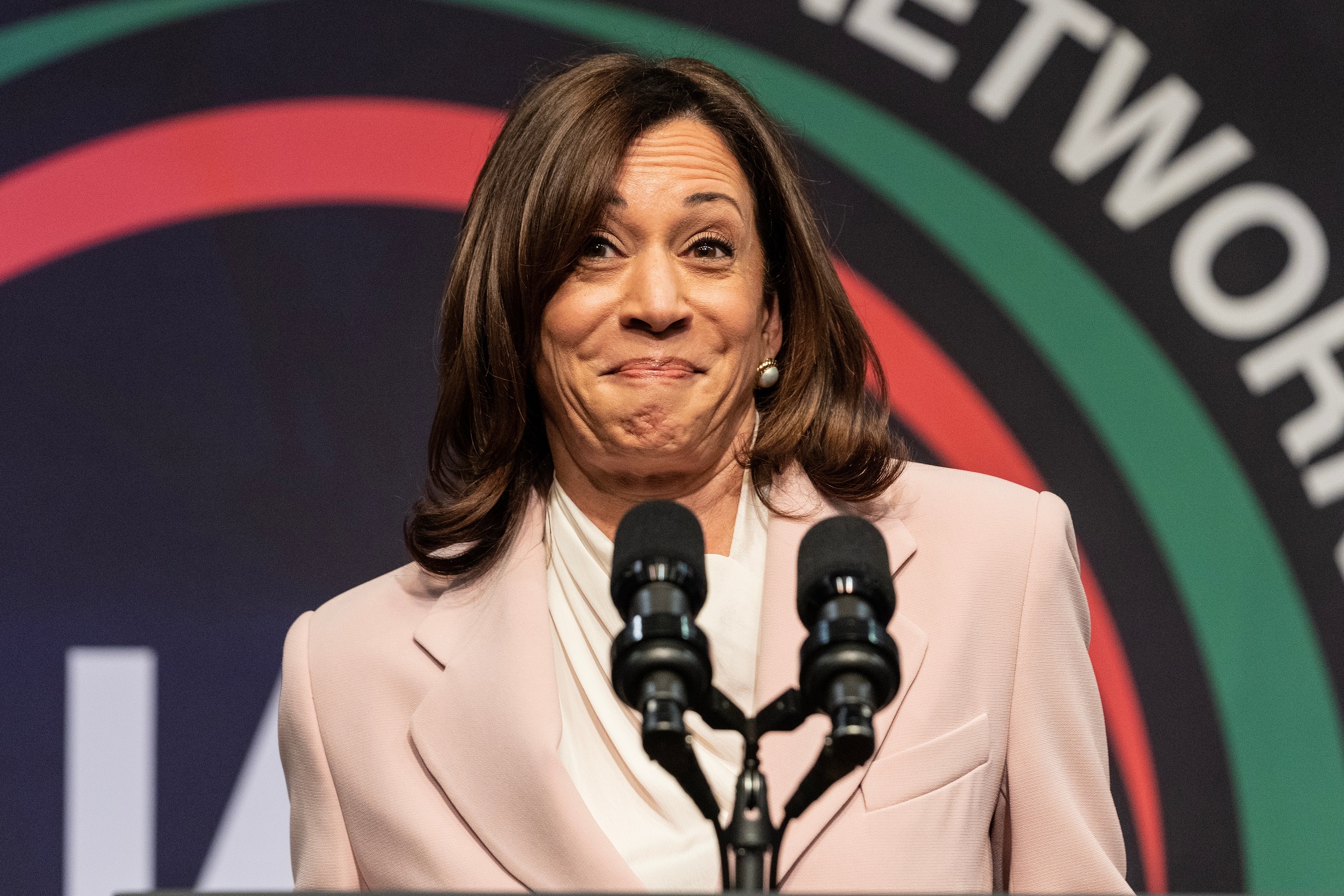 Vice,President,Of,The,Usa,Kamala,Harris,Speaks,During,Nan