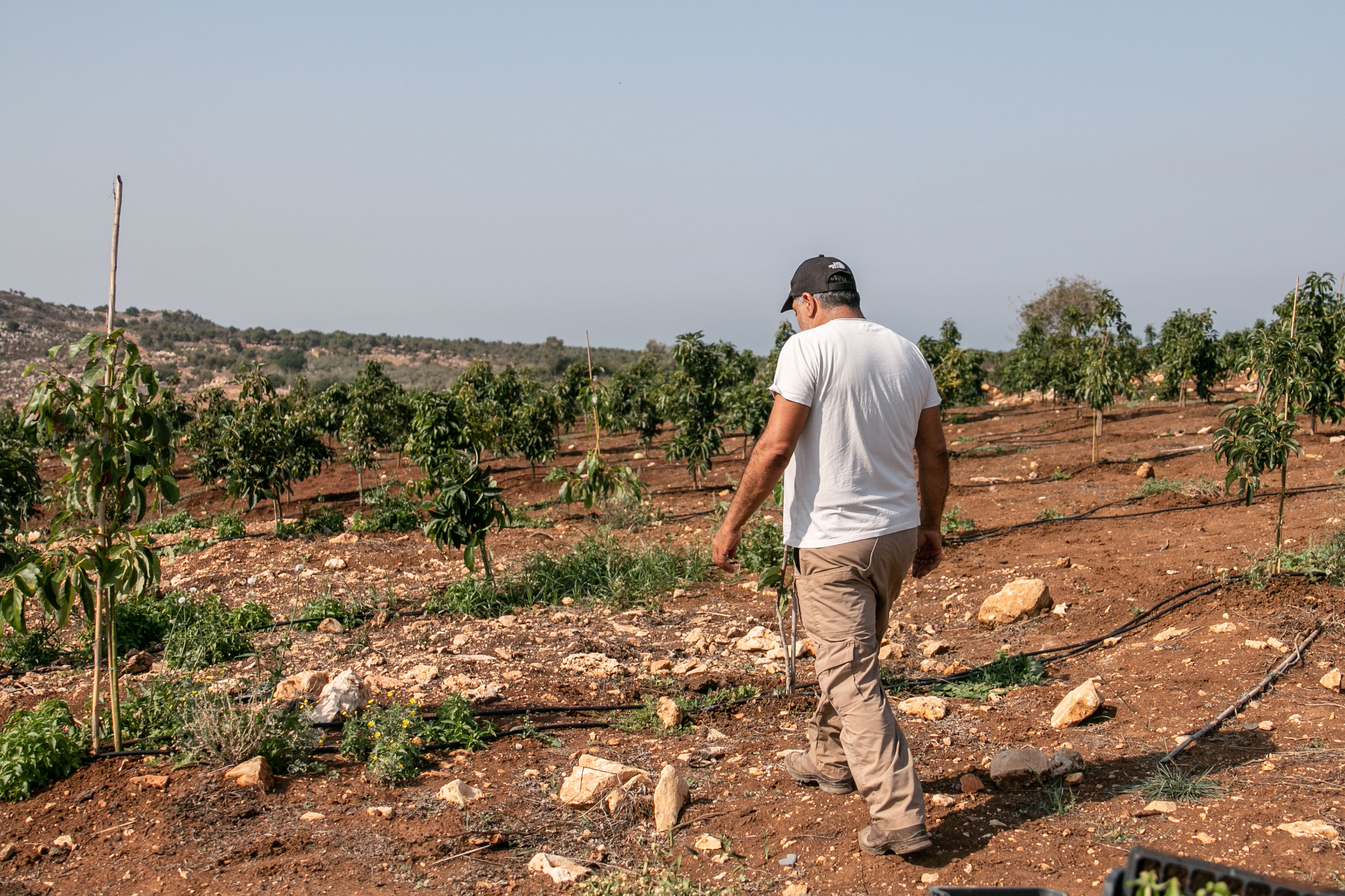 Alma Al Chaab 13 Small 28.10.23 Pernot