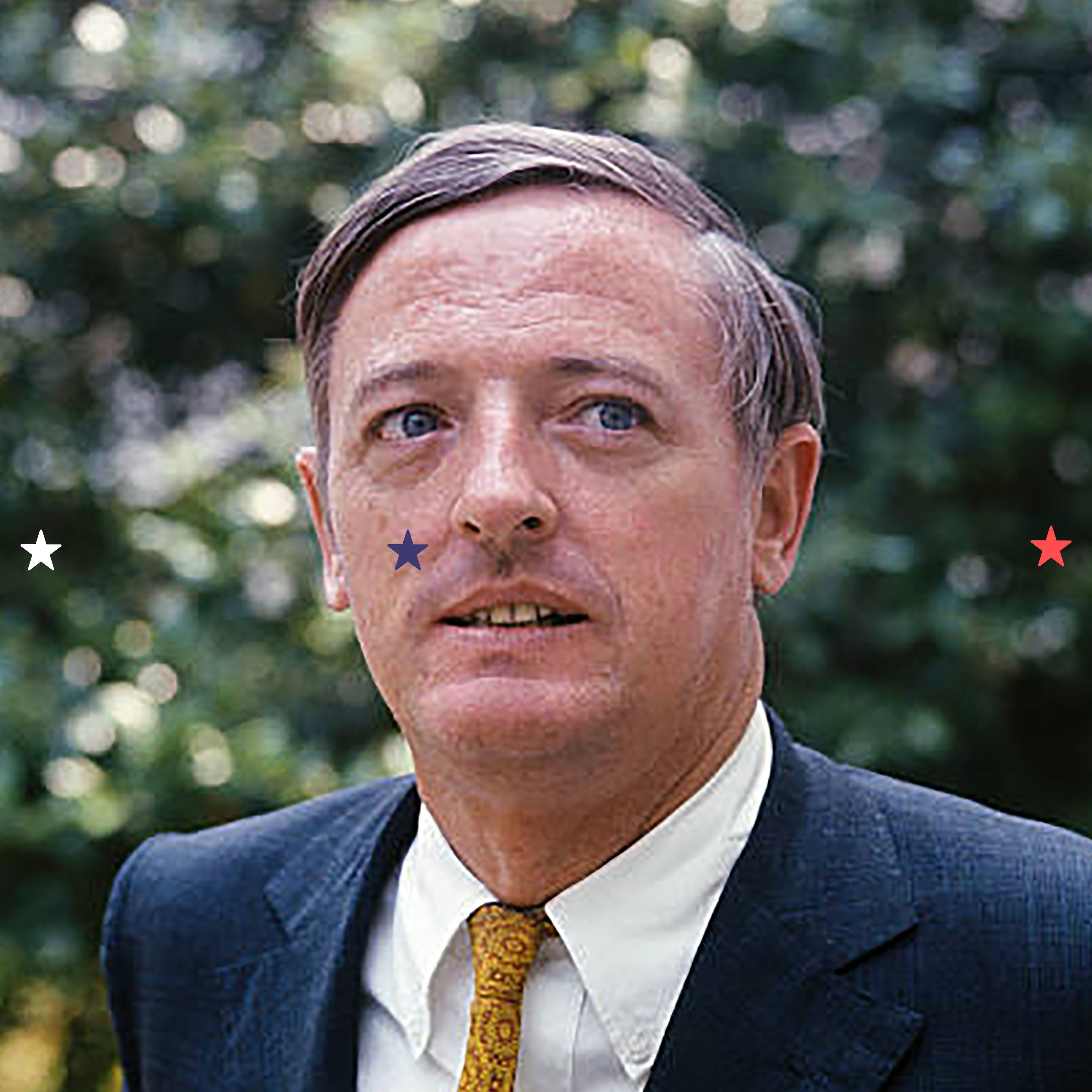 Kopie Návrhu Redneck Stars Photo Web (1600 X 1600 Px) (18)