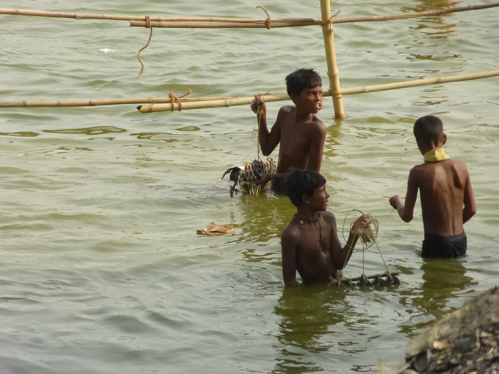 14359341036 7e95418a59 B