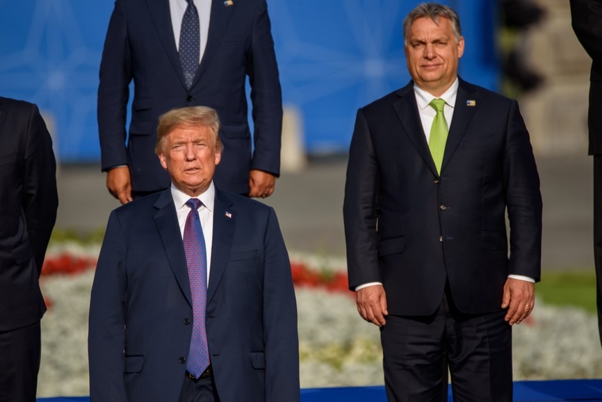 Shutterstock 1136268611 Orez