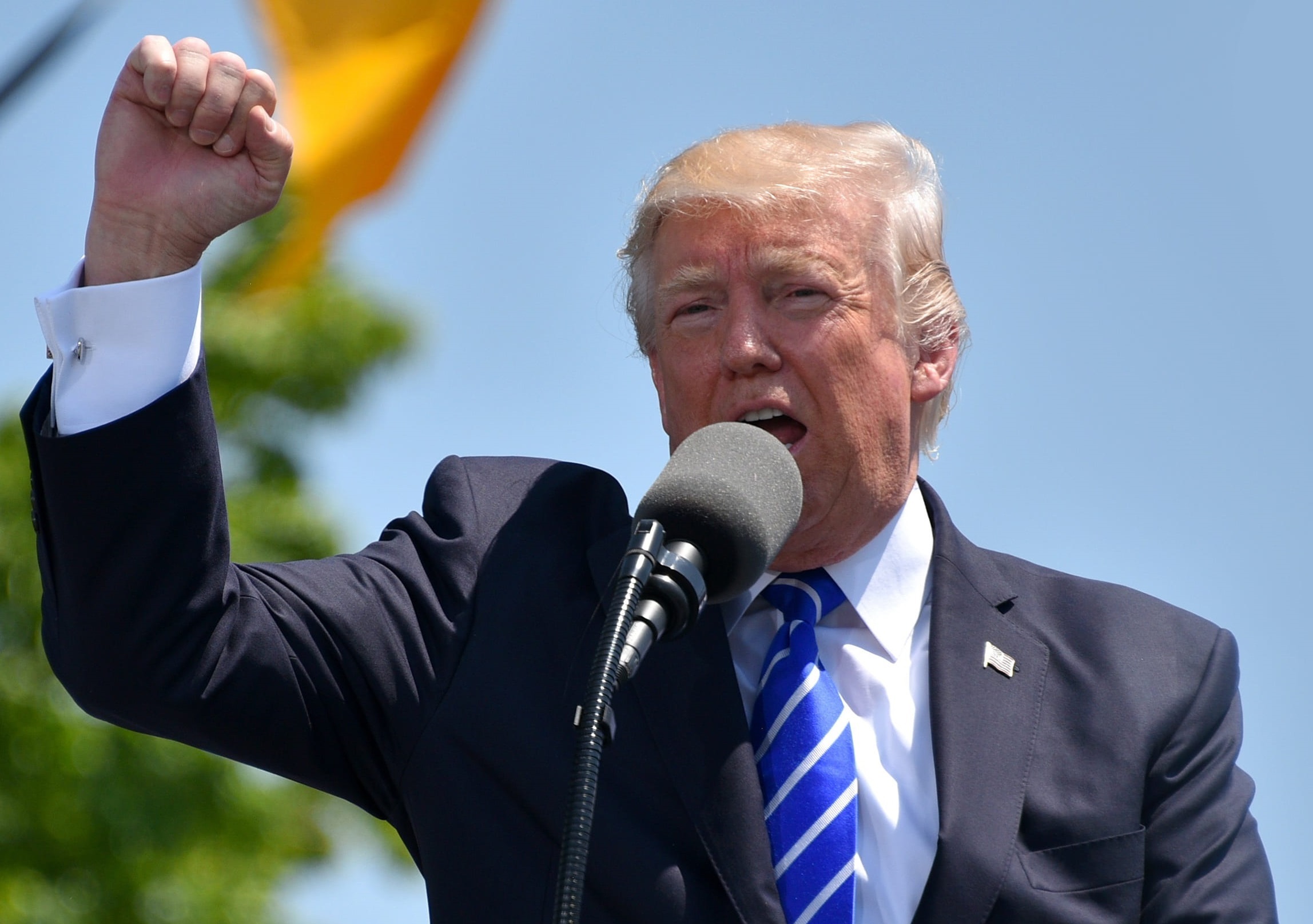 Donald Trump Foto: PickPiK.com