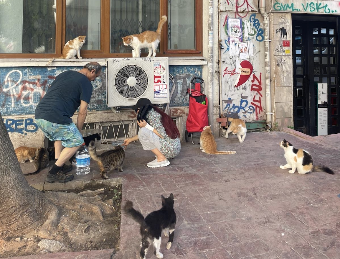 Snímek Obrazovky 2024 08 22 V 21.34.04