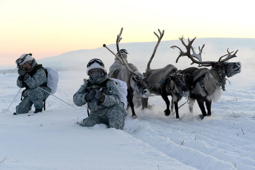 Russian Special Forces With Reindeer Sleds