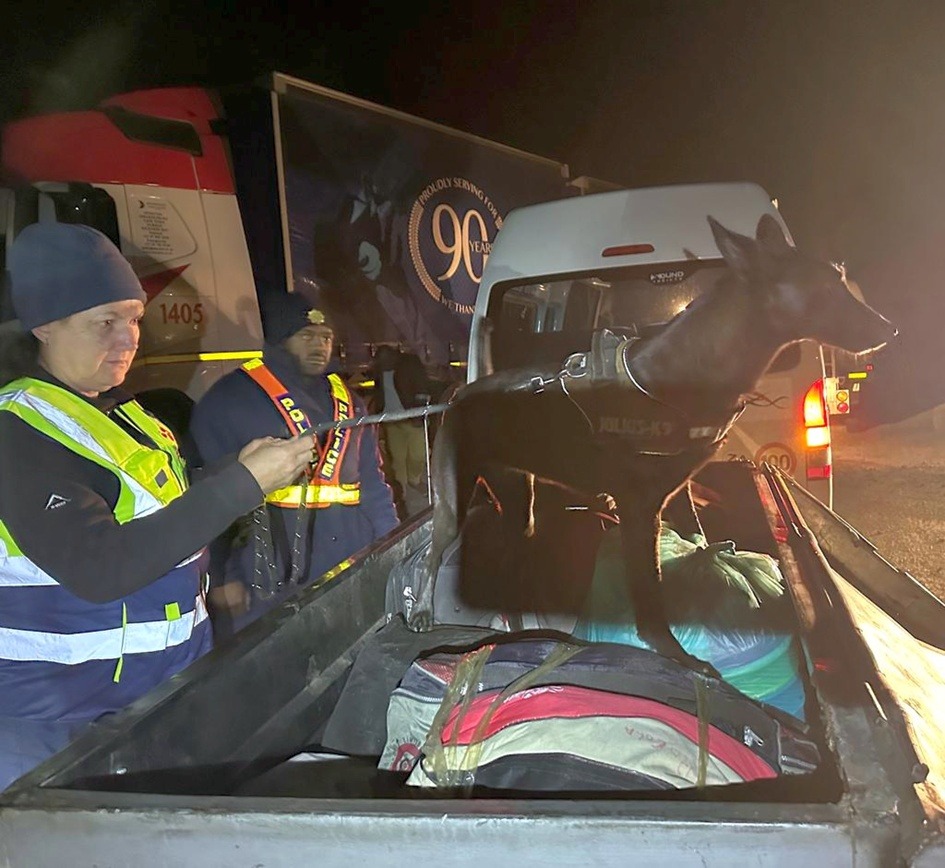 Policejní pes Delta vycvičený k hledání sukulentů | Foto: South African Police Service