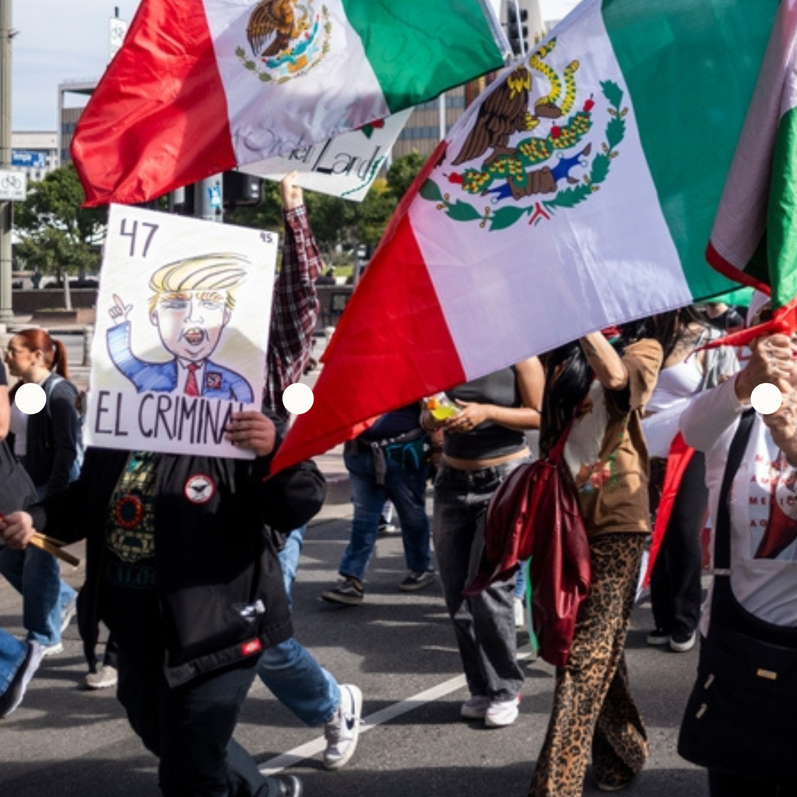 Kopie Návrhu Puls Dots Photo Web (1600 X 1600 Px) (12)