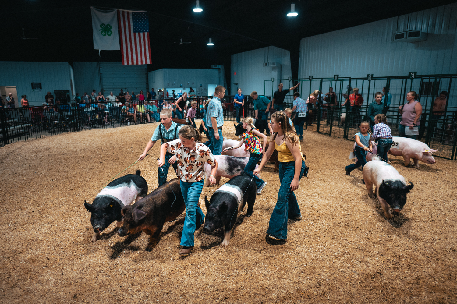 Foto: Petr Chodura / Voxpot