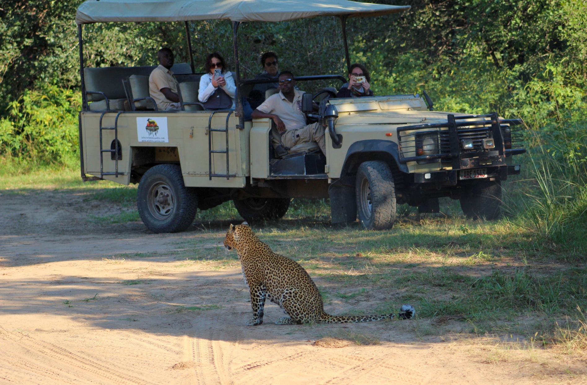 Africké safari