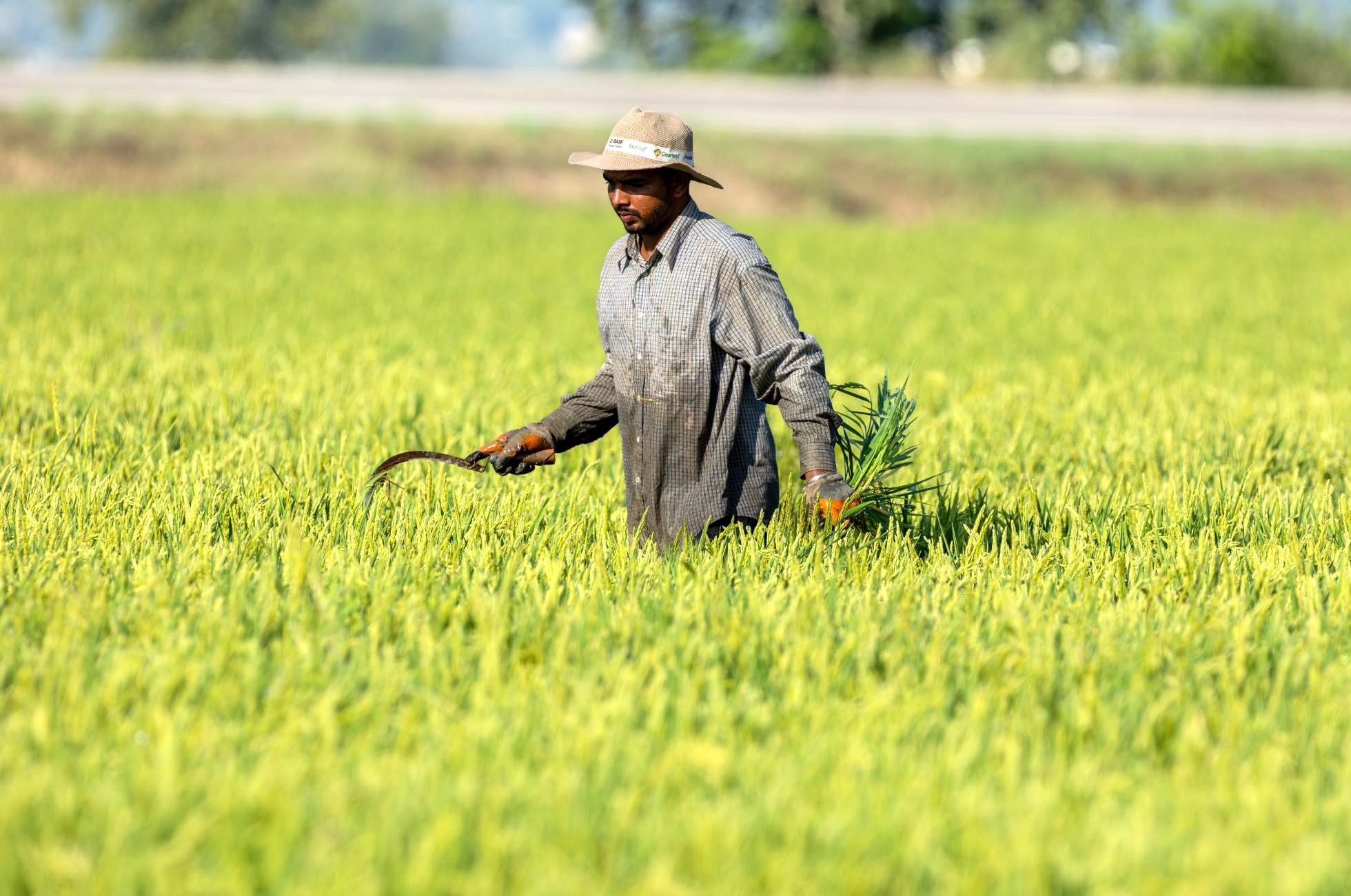 Zemědělec ve Španělsku