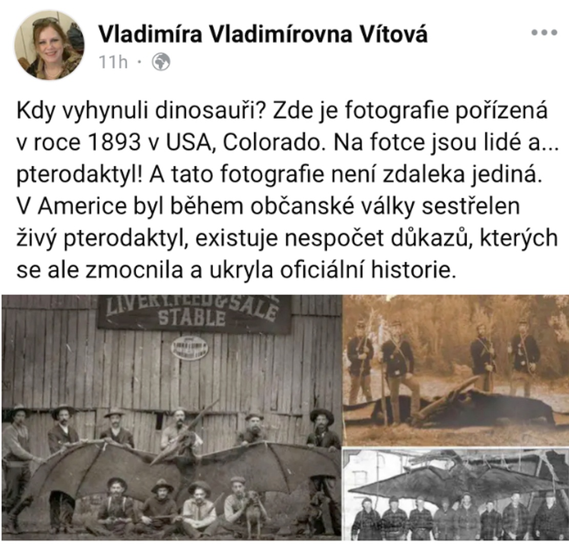 Facebookový příspěvek Vladimíry Vítové